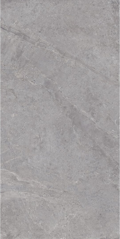 EVOLUTION GREY 60X120 9,5MM
