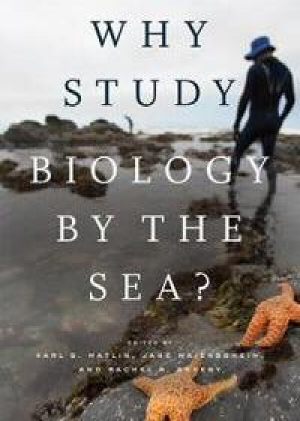 Why Study Biology by the Sea?