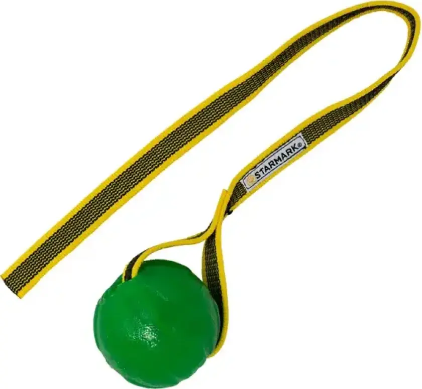 GripCord Chew Ball - M/L