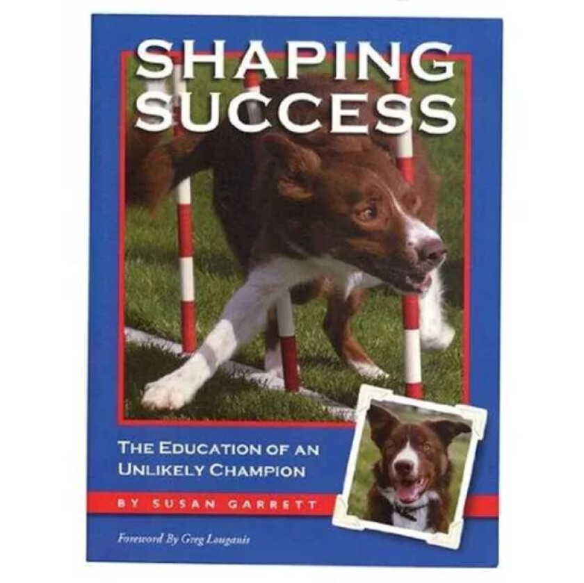 Shaping Success av Susan Garrett