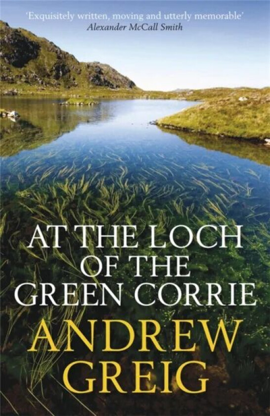 At the Loch of the Green Corrie av Andrew Greig