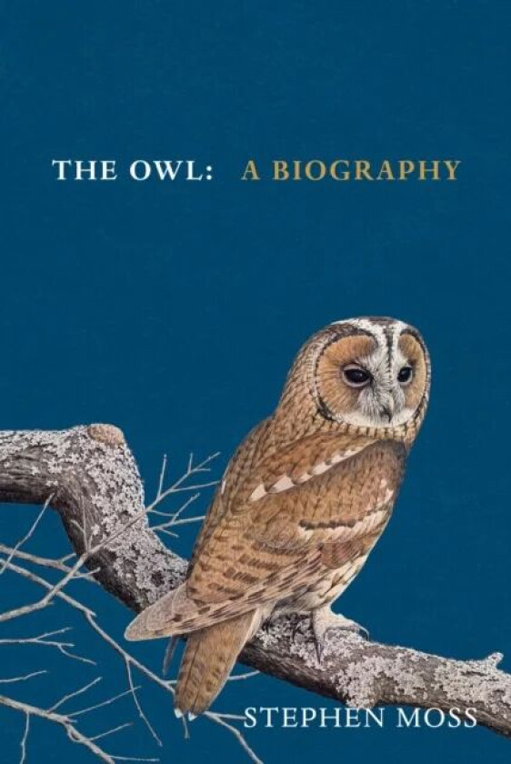 The Owl av Stephen Moss