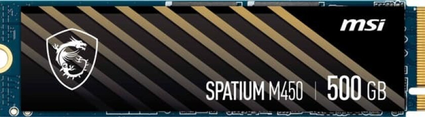 Spatium M450 M.2 V1 intern SSD (500 GB)