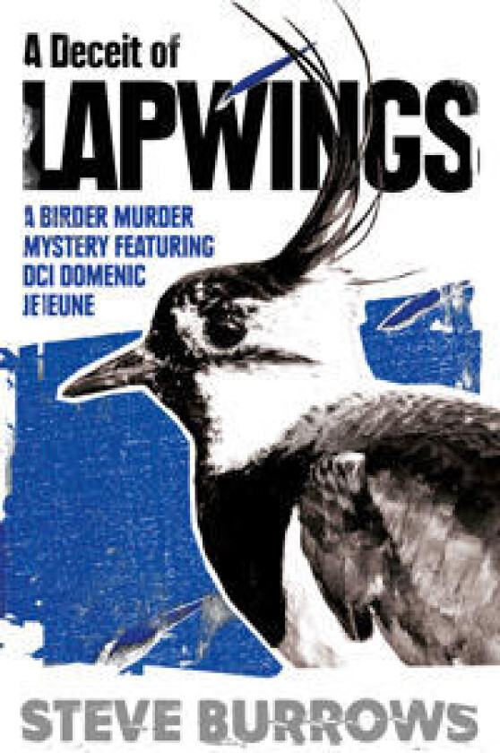 A Deceit of Lapwings