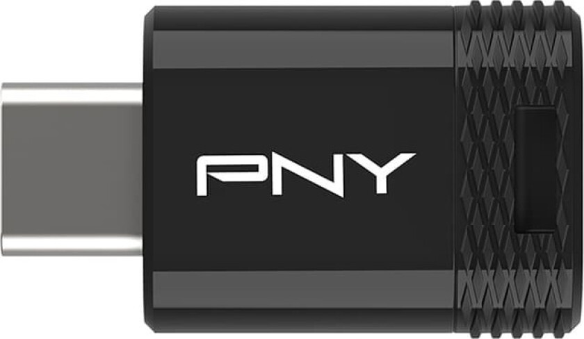 Elite-X Fit Type-C USB 3.2 minnepenn 128 GB