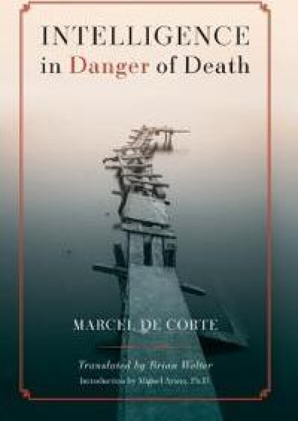 Intelligence in Danger of Death (English edition)