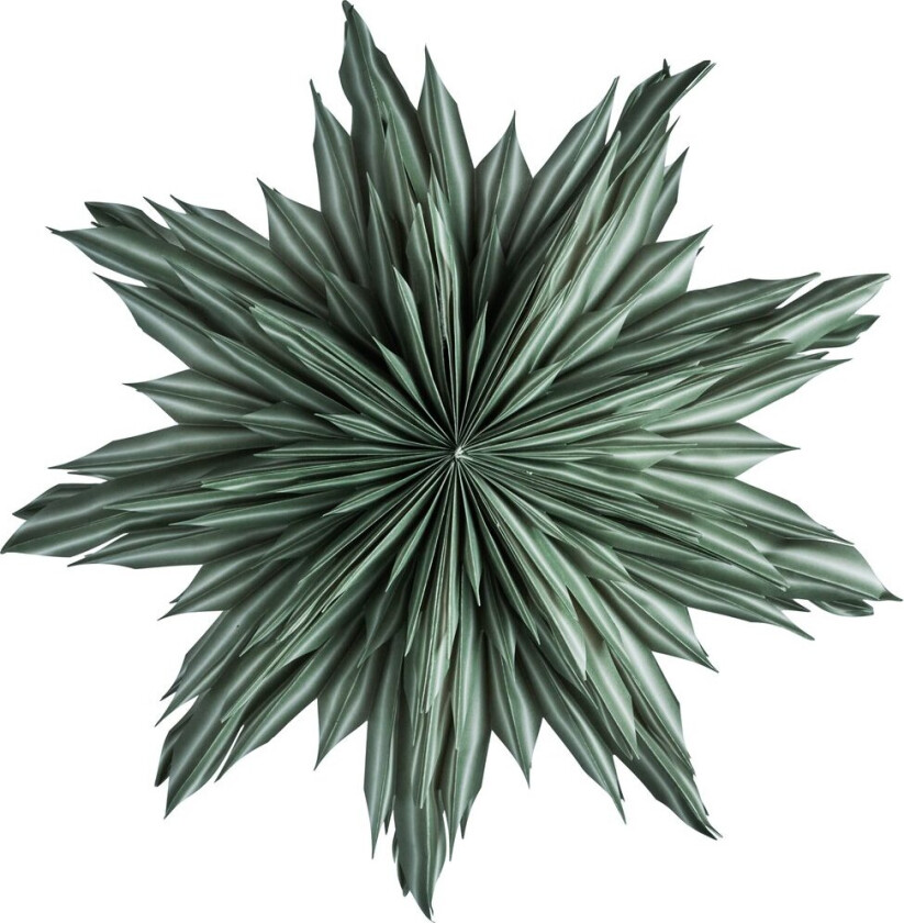 Helena adventsstjerne Ø44 cm Green