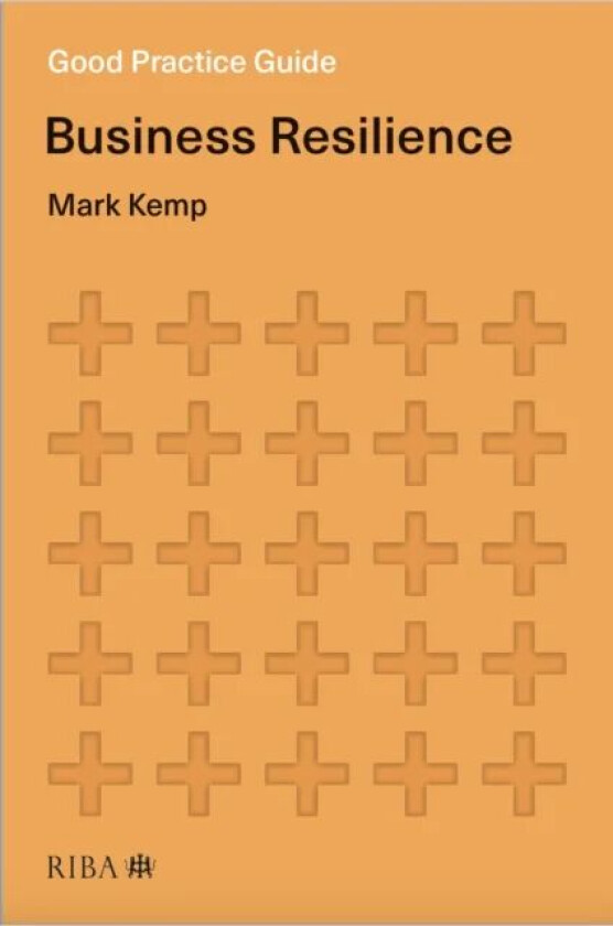 Good Practice Guide: Business Resilience av Mark Kemp
