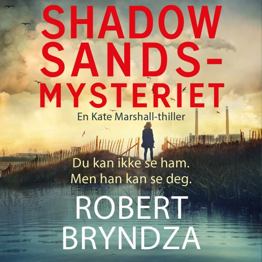 Shadow Sands-mysteriet av Robert Bryndza