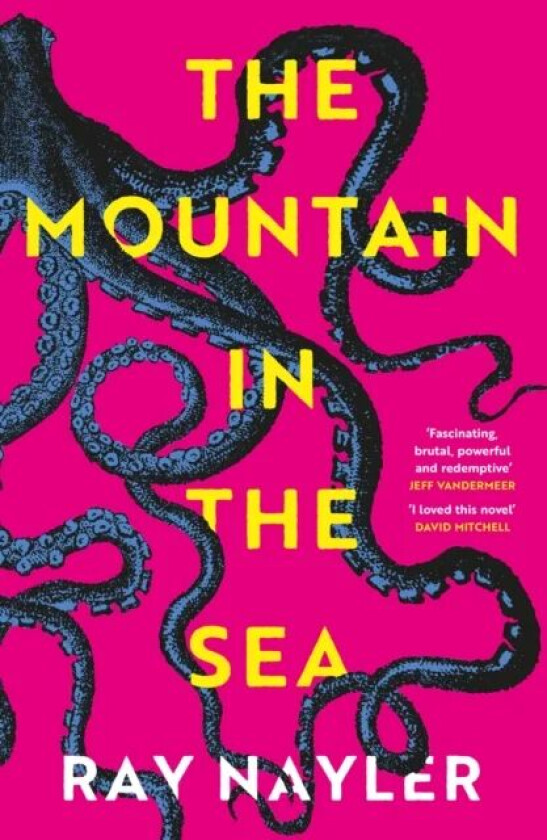 The Mountain in the Sea av Ray Nayler