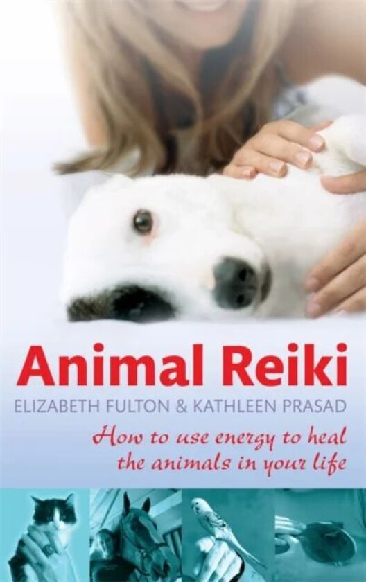 Animal Reiki av Elizabeth Fulton, Kathleen Prasad