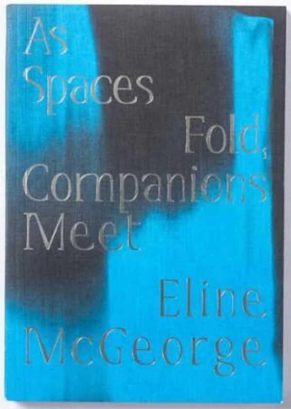 As spaces fold, companions meet av Eline McGeorge
