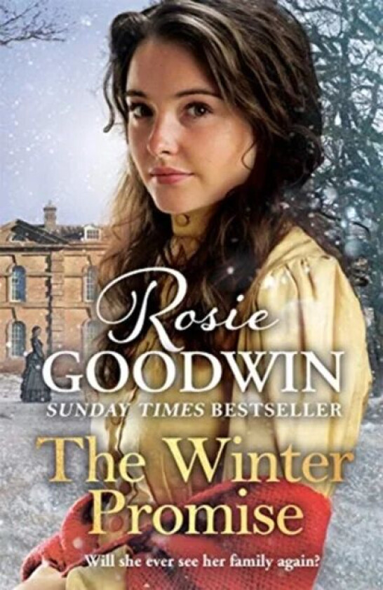 The Winter Promise av Rosie Goodwin