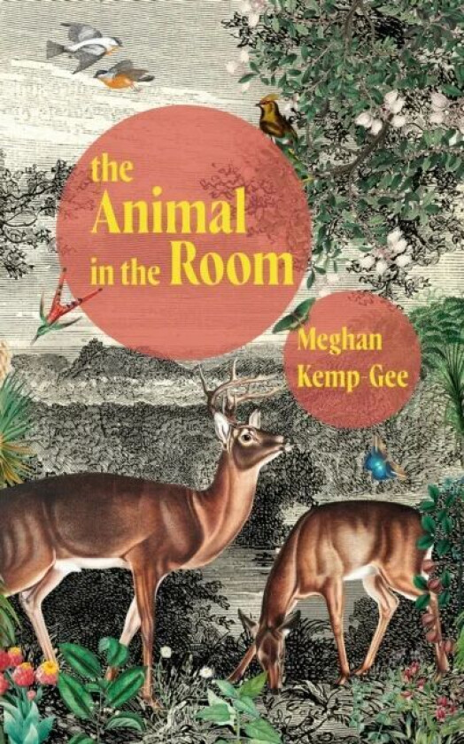 The Animal in the Room av Meghan Kemp-Gee