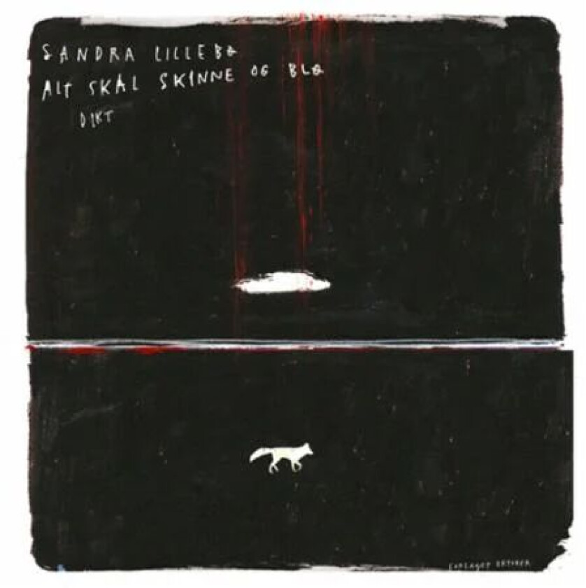 Alt skal skinne og blø av Sandra Lillebø
