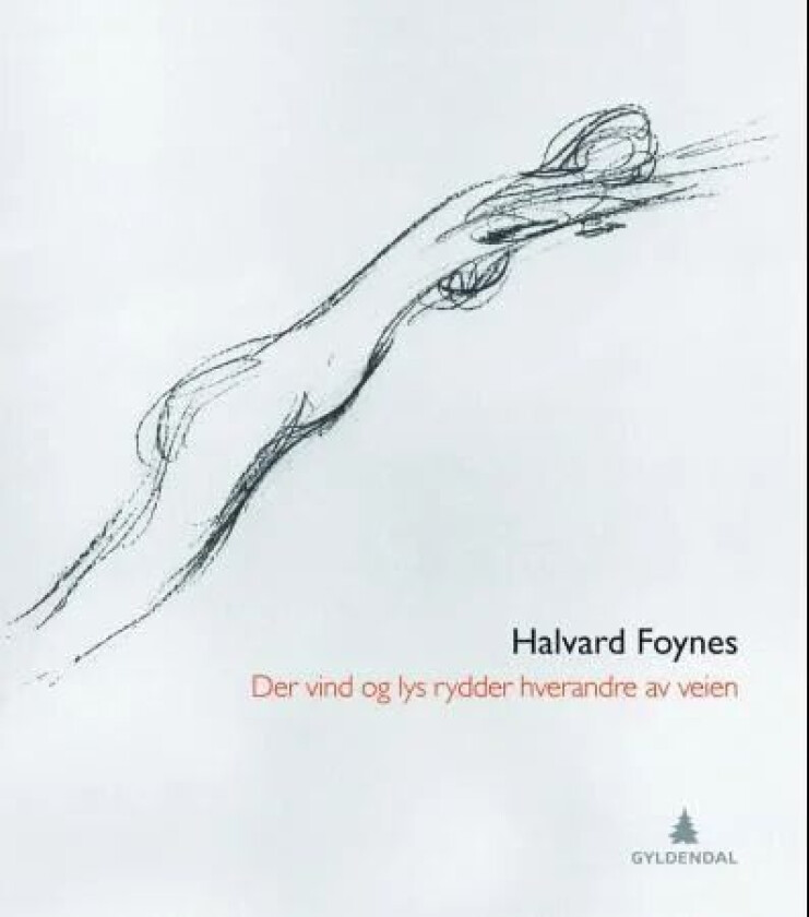 Der vind og lys rydder hverandre av veien av Halvard Foynes
