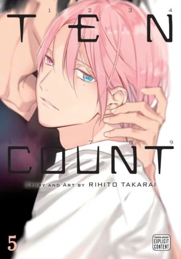 Ten Count, Vol. 5 av Rihito Takarai