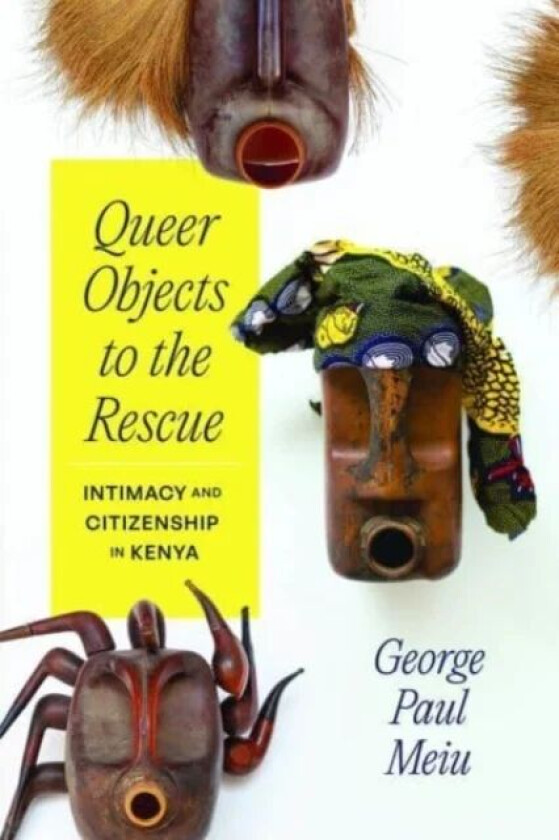 Queer Objects to the Rescue av George Paul Meiu