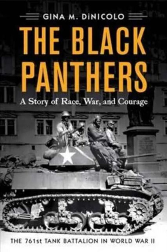 The Black Panthers av Gina M. DiNicolo