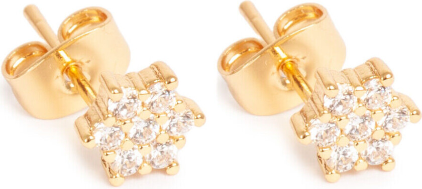 Små øredobber med krystallstjerne, G