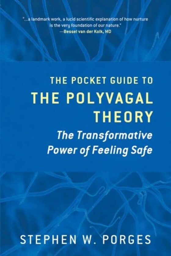 The Pocket Guide to the Polyvagal Theory av Stephen W. (University of North Carolina) Porges