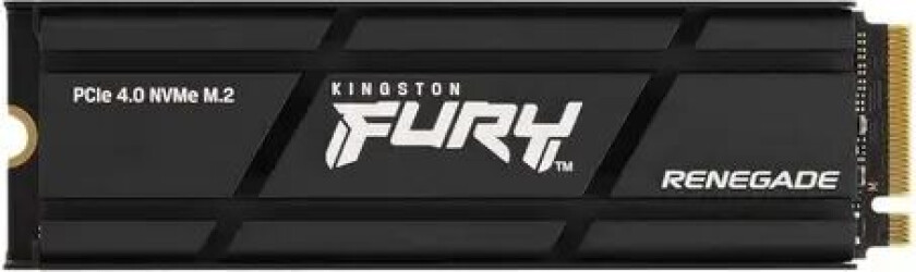 FURY Renegade M.2 NVMe 1TB Gen 4 Heatsink