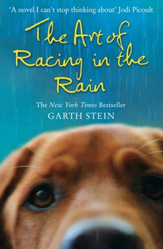 The Art of Racing in the Rain av Garth Stein