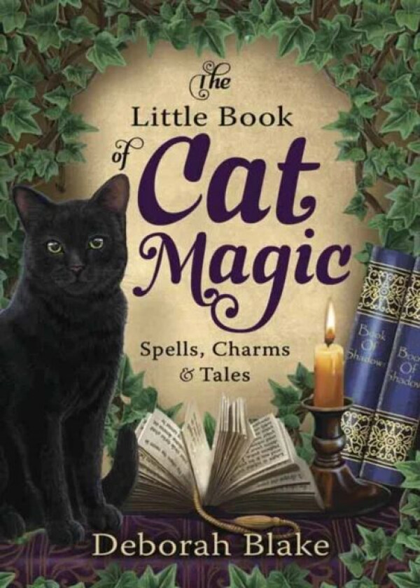 The Little Book of Cat Magic av Deborah Blake