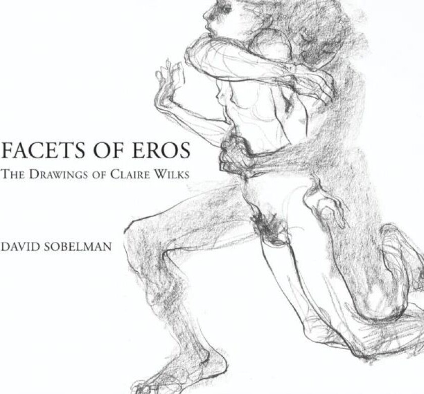 Facets of Eros av David Sobelman