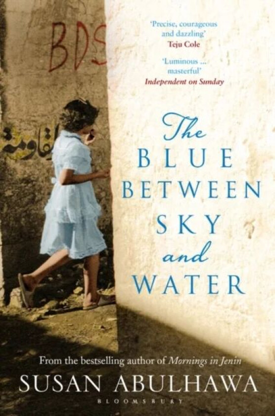 The blue between sky and water av Susan Abulhawa