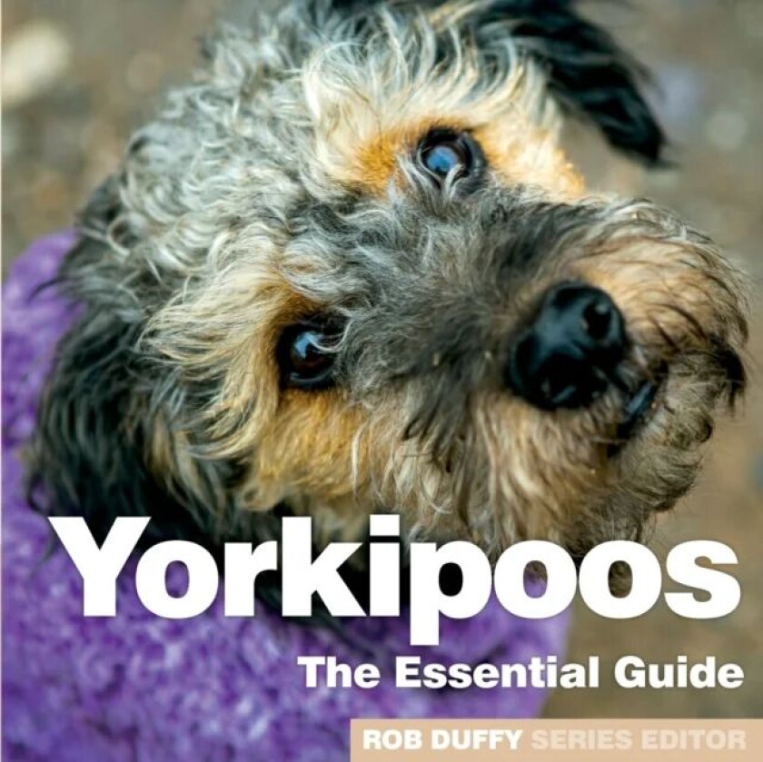 Yorkipoos