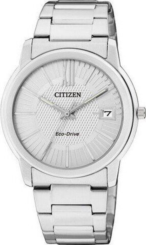 Citizen Eco Drive FE6010-50A Klokke