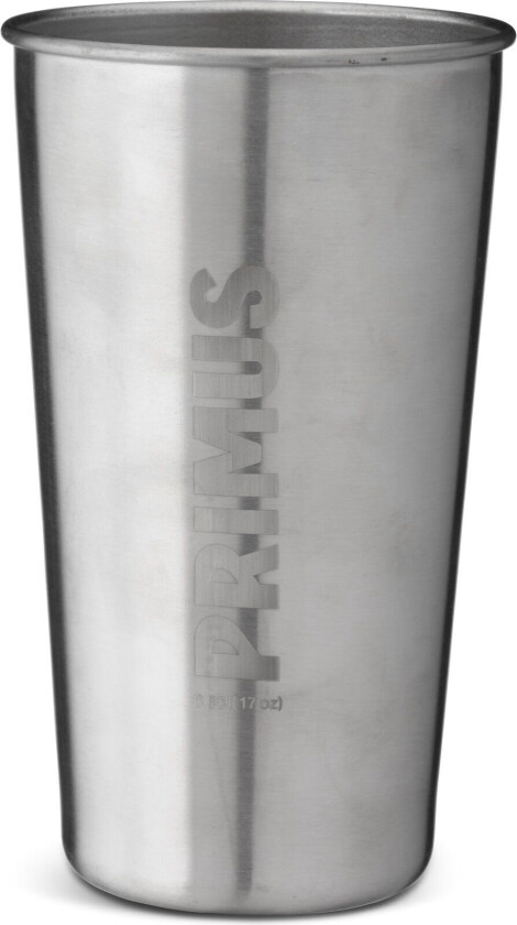 Campfire Pint - Stainless OneSize