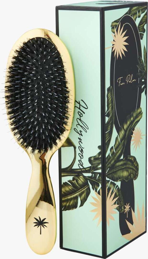 Hair Brush Medium Hollywood