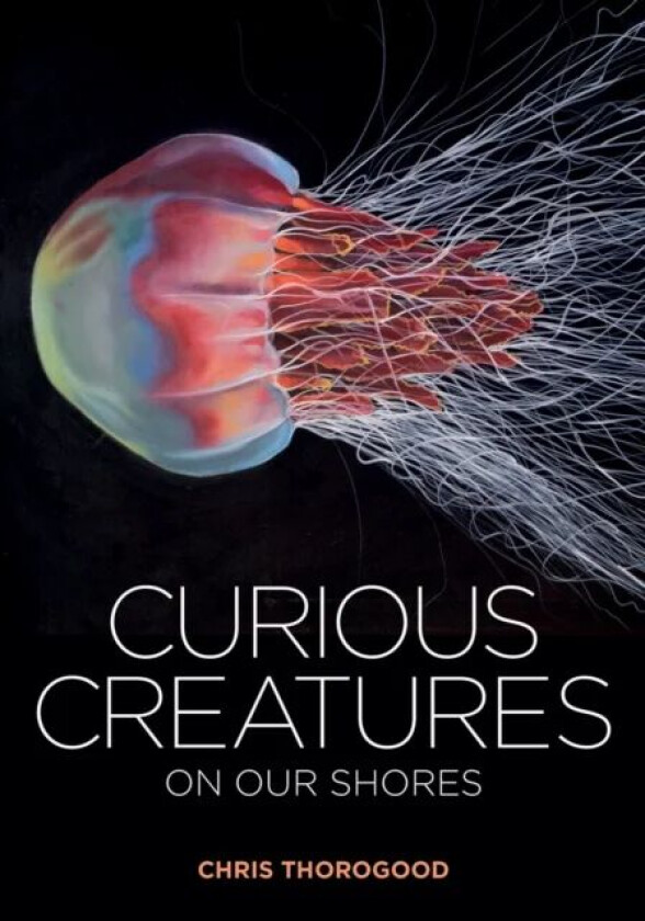 Curious Creatures on our Shores av Chris Thorogood