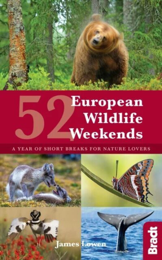 52 European Wildlife Weekends av James Lowen