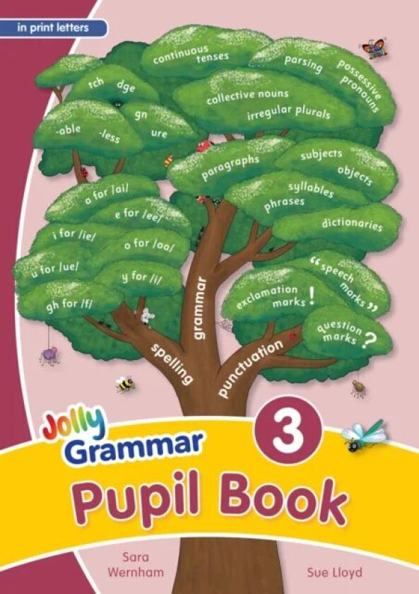 Grammar 3 Pupil Book av Sara Wernham, Sue Lloyd