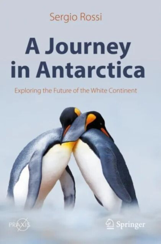 A Journey in Antarctica av Sergio Rossi