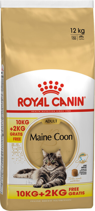 10 + 2 kg gratis! 12 kg Royal Canin Feline - Maine Coon