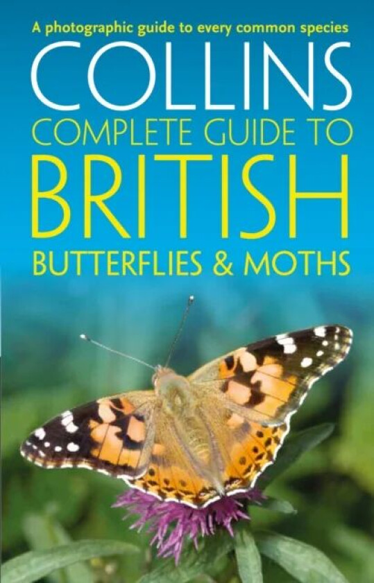 British Butterflies and Moths av Paul Sterry, Andrew Cleave, Rob Read