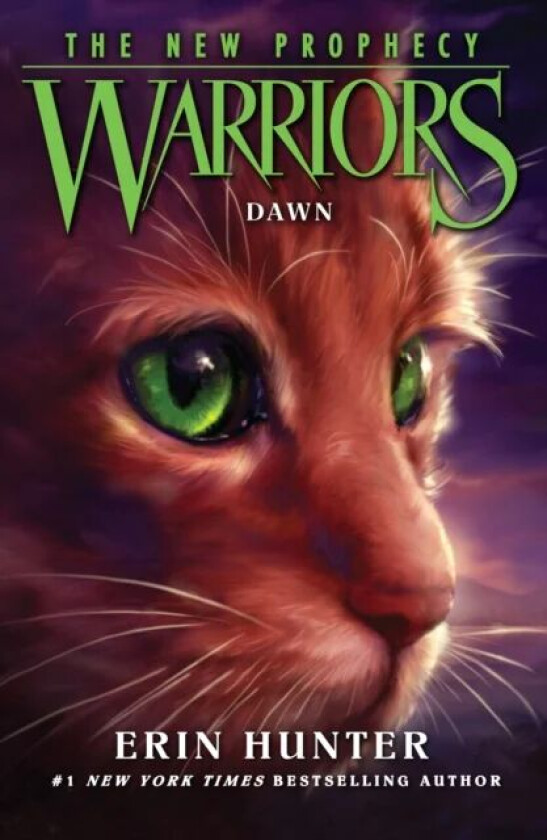 DAWN av Erin Hunter