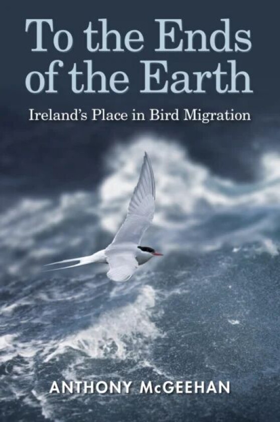 To the Ends of the Earth av Anthony McGeehan