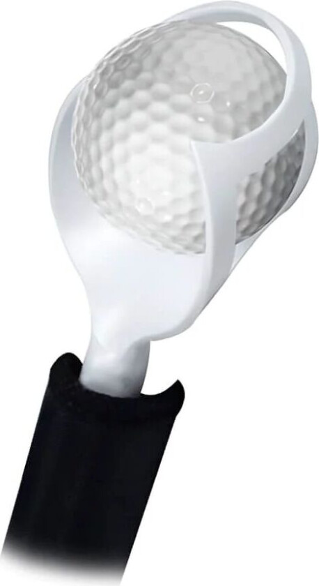 Bilde av Golfball Retriever