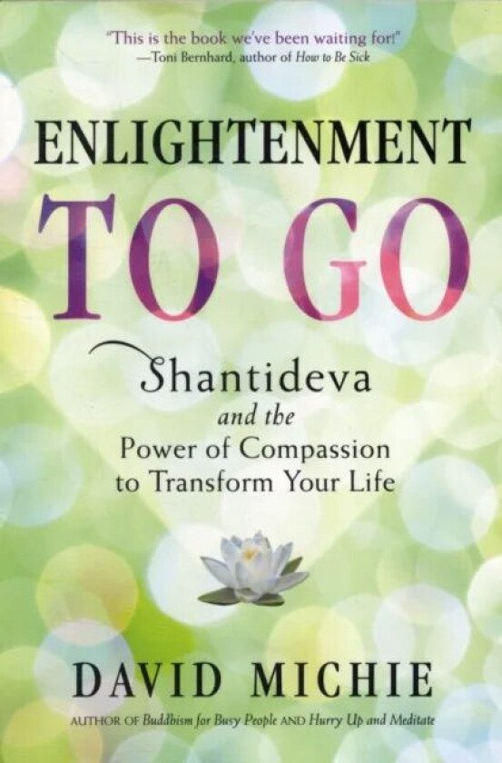Enlightenment to Go av David Michie