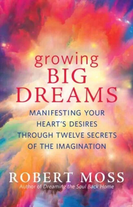 Growing Big Dreams av Robert Moss