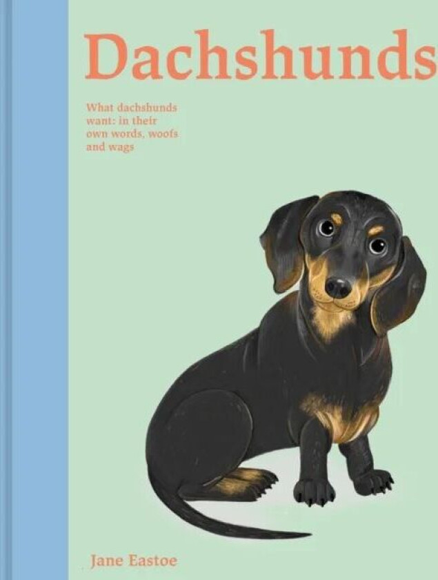 Dachshunds av Jane Eastoe