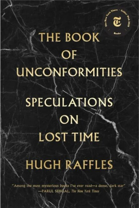 The Book Of Unconformities av Hugh Raffles