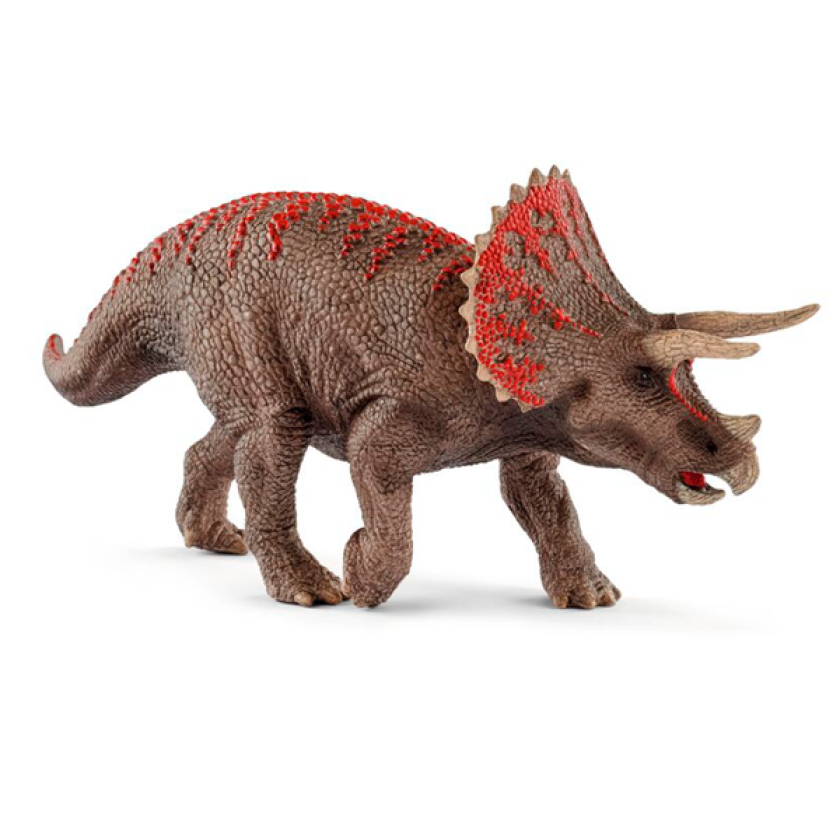 Triceratops