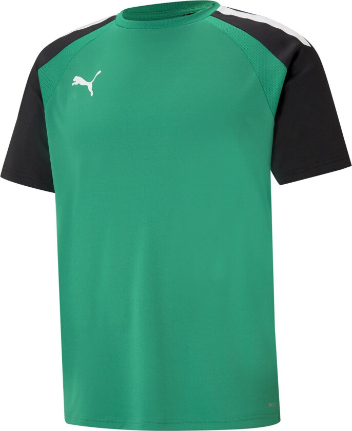 teamPACER Jersey, treningsgenser herre Pepper Green- Bl