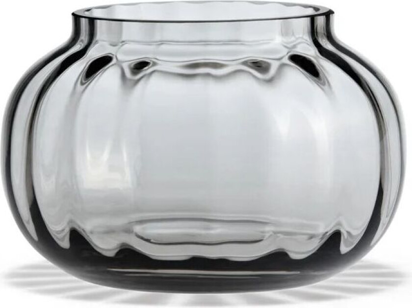 Primula telysestake Ø9,5 cm Smoke